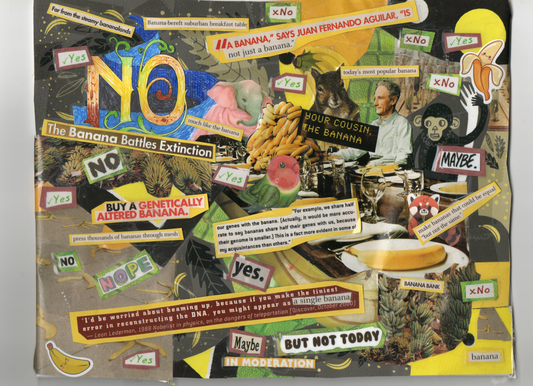 Print: Yes, We Have No